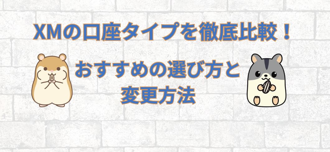 XMの口座タイプを徹底比較！おすすめの選び方と変更方法