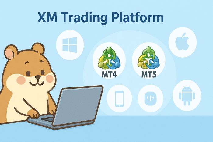 XMプラットフォームとは?