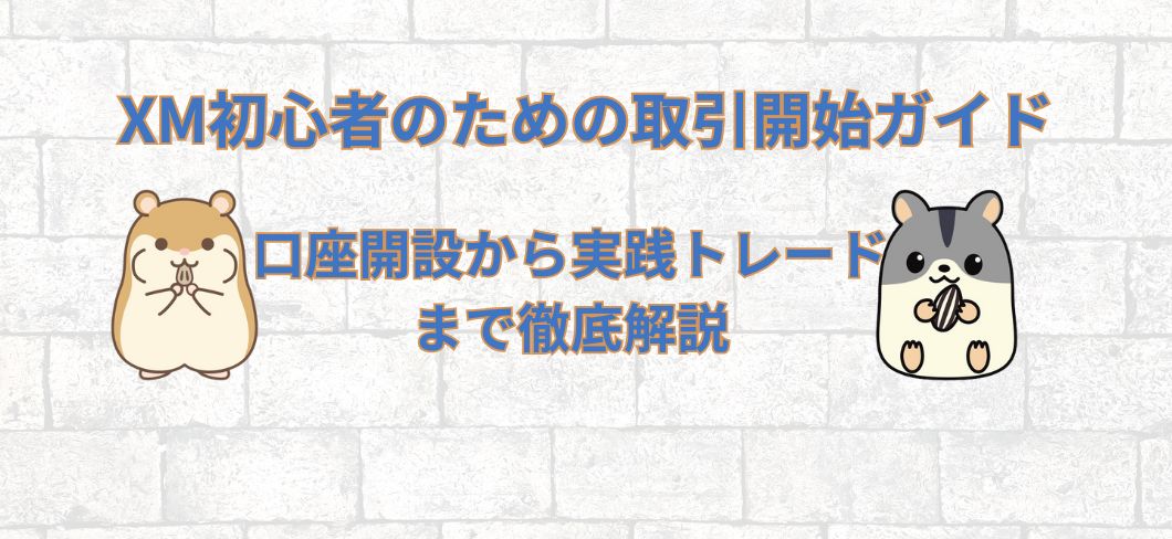 XM初心者のための取引開始ガイド
