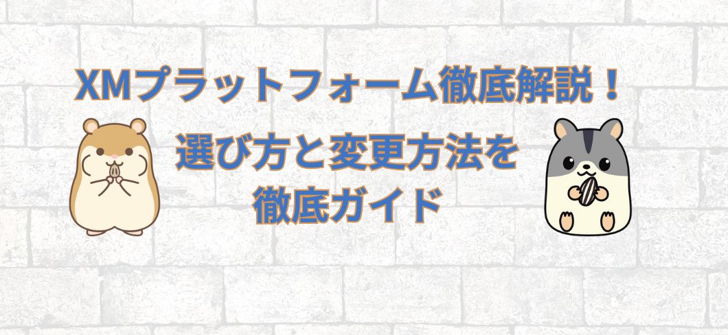 XMプラットフォーム完全解説
