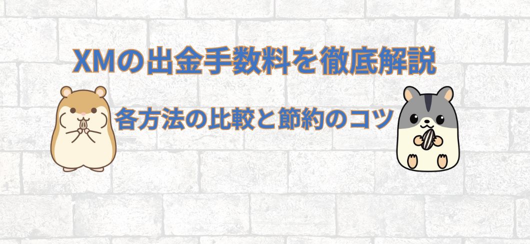 XMの出金手数料を徹底解説！各方法の比較と節約のコツ