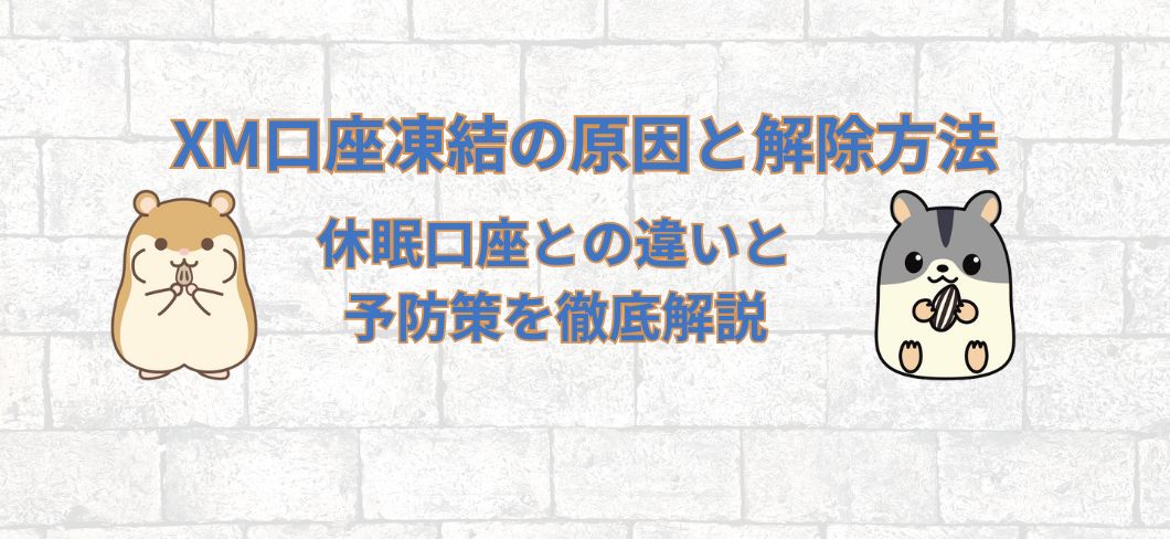 XM口座凍結の原因と解除方法|休眠口座との違いと予防策を徹底解説