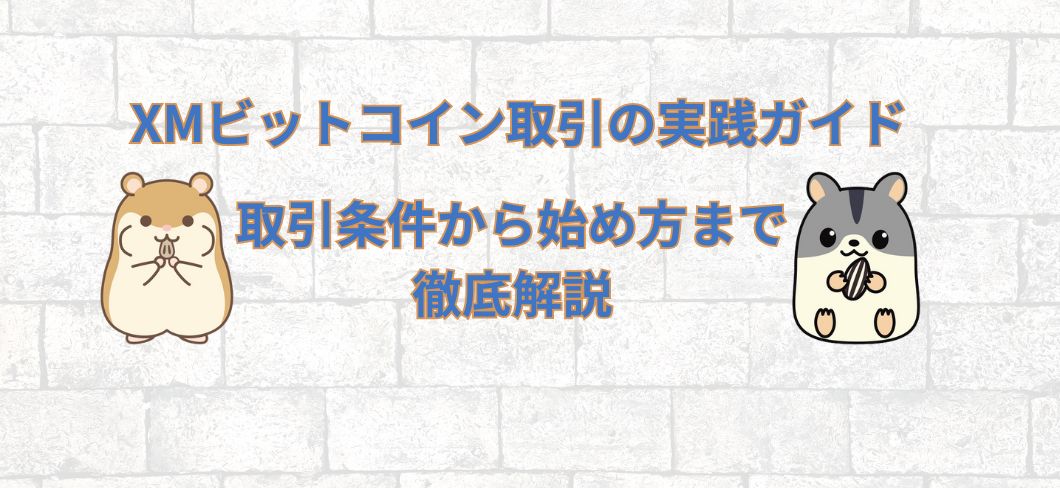 XMビットコイン取引の実践ガイド｜取引条件から始め方まで徹底解説