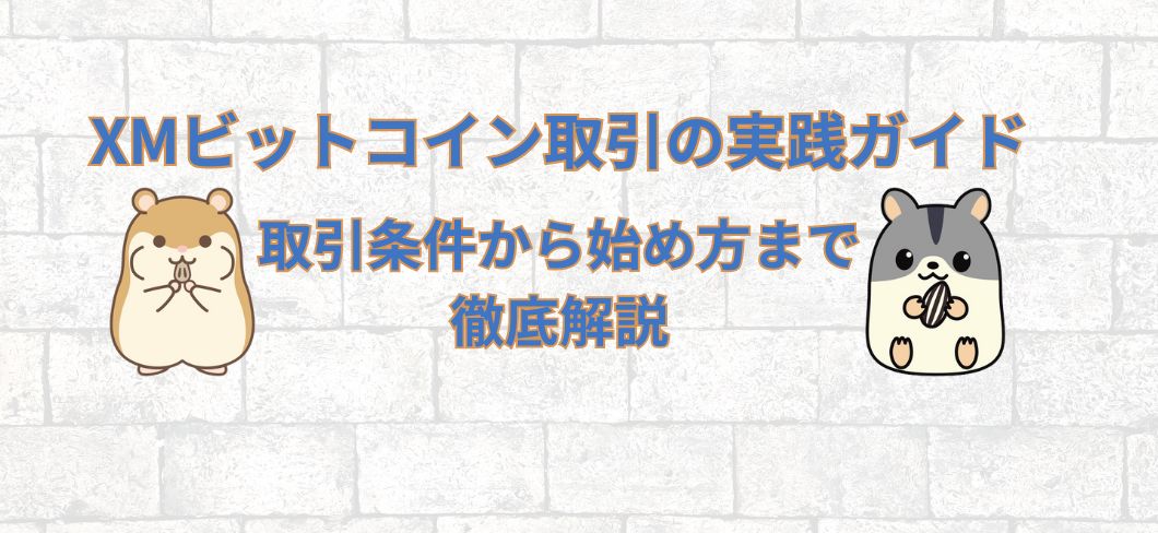 XMビットコイン取引の実践ガイド｜取引条件から始め方まで徹底解説
