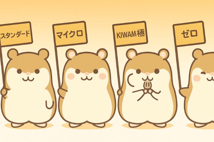XMの4つの口座タイプ（スタンダード、マイクロ、KIWAMI極、ゼロ）のロット数比較イラスト