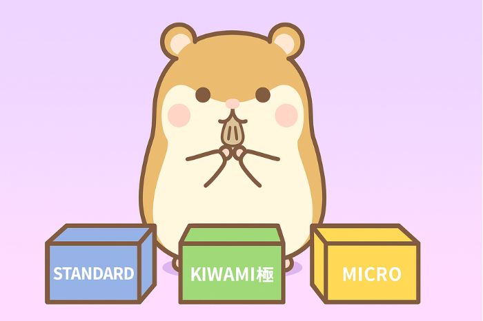 XMビットコイン取引に最適な口座タイプ（スタンダード、KIWAMI極、マイクロ）を比較するハムスター