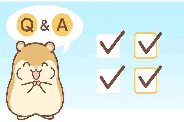 XM入金に関するよくある質問と回答。最低入金額・反映時間・手数料など利用者の疑問を解決