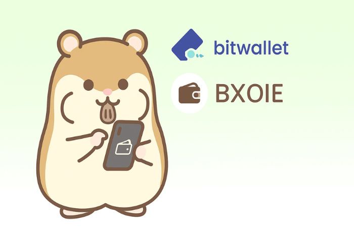 XMのオンラインウォレット入金（bitwallet・BXONE）でエラーが出る時の対応方法を示すハムスターとスマートフォン