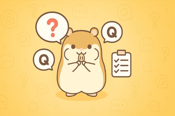 XMのスプレッドに関するよくある質問と回答、FAQ形式で解説