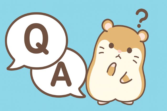 XMの取引時間に関するよくある質問と回答