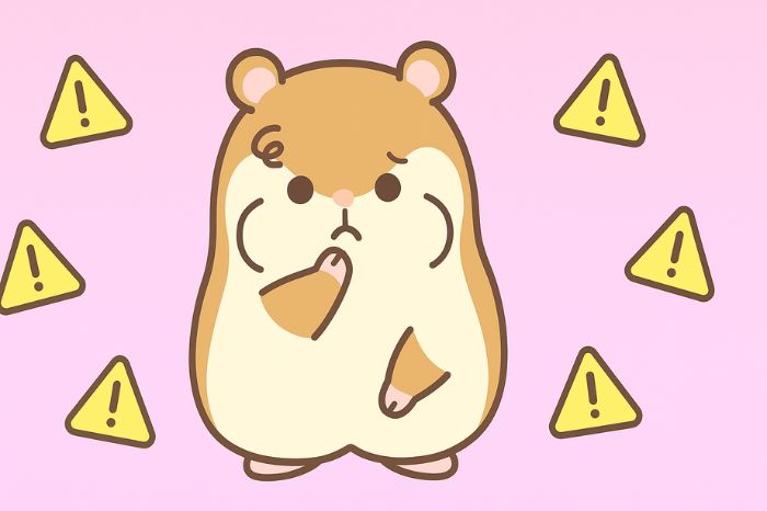 XMゼロ口座の6つのデメリットと注意点を考えるハムスター・入金ボーナス対象外などの注意事項