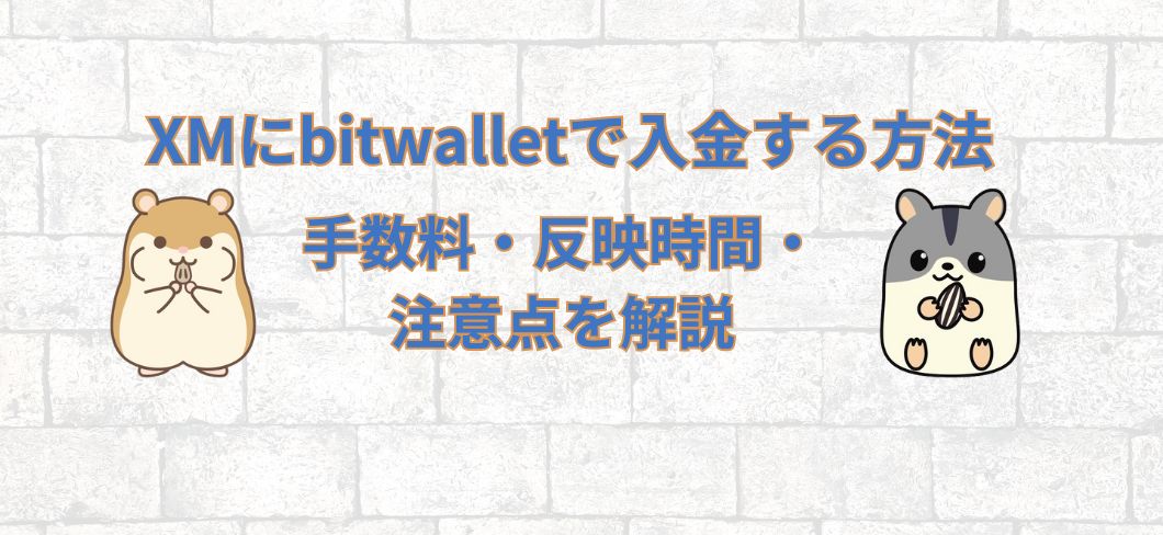 XMにbitwallet（ビットウォレット）で入金する方法｜手数料・反映時間・注意点を解説
