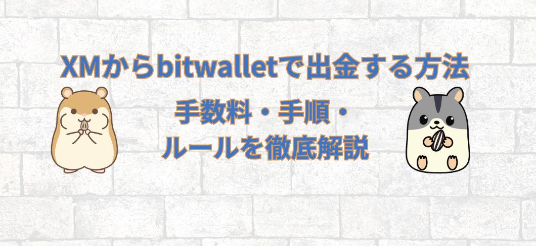 XMからbitwallet（ビットウォレット）で出金する方法｜手数料・手順・ルールを徹底解説