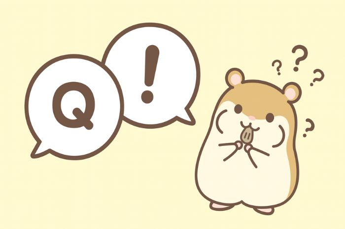 Q&Aの吹き出しを見上げて首をかしげるハムスターのイラスト
