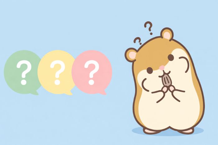 HFM口座タイプに関するよくある質問イメージ