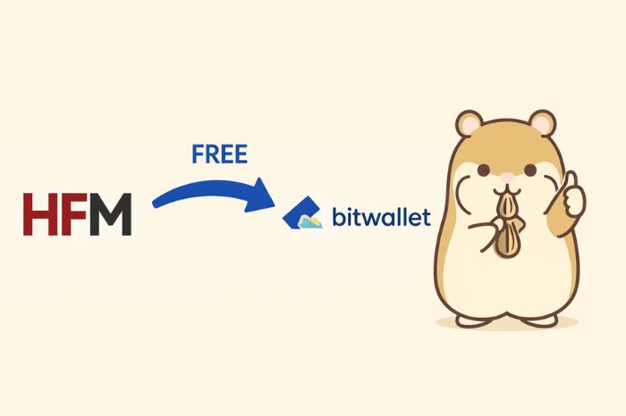 HFMからbitwalletへの出金基本情報（手数料・反映時間・対応通貨）