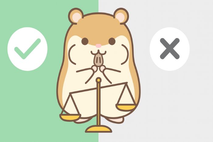 HFMがおすすめな人・向いていない人を解説するイメージ画像