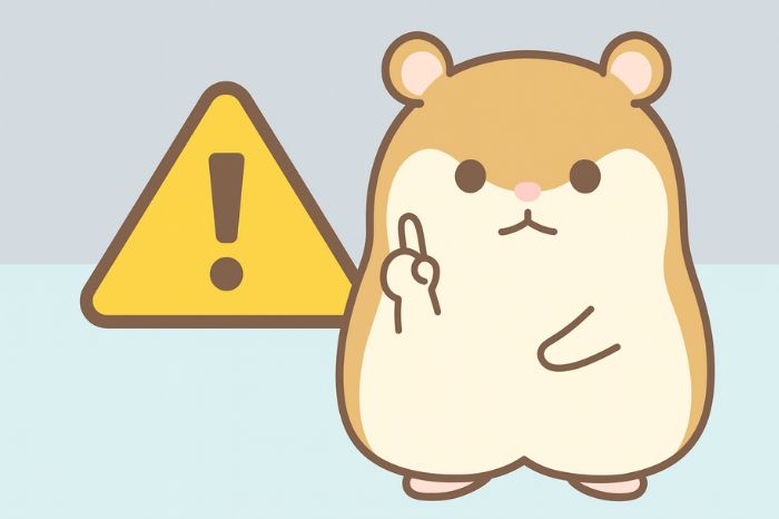 XMでbitwallet入金を利用する際のデメリットと注意点を示すイメージ