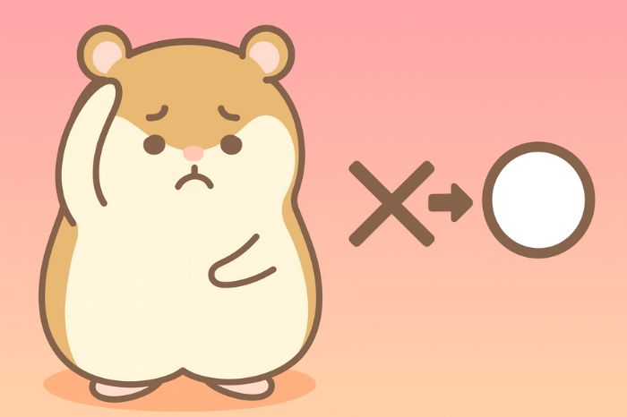 XMにbitwalletで入金できない原因と対処法を解説するイメージ