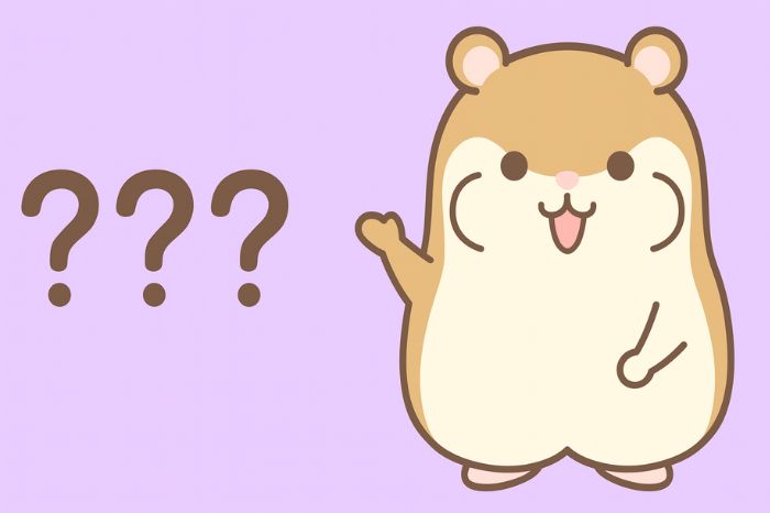 XMのbitwallet入金に関するよくある質問(FAQ)のイメージ