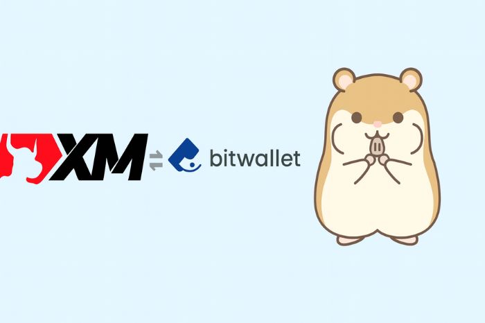 XMとbitwalletのロゴが並び出金の仕組みを表すイメージ画像