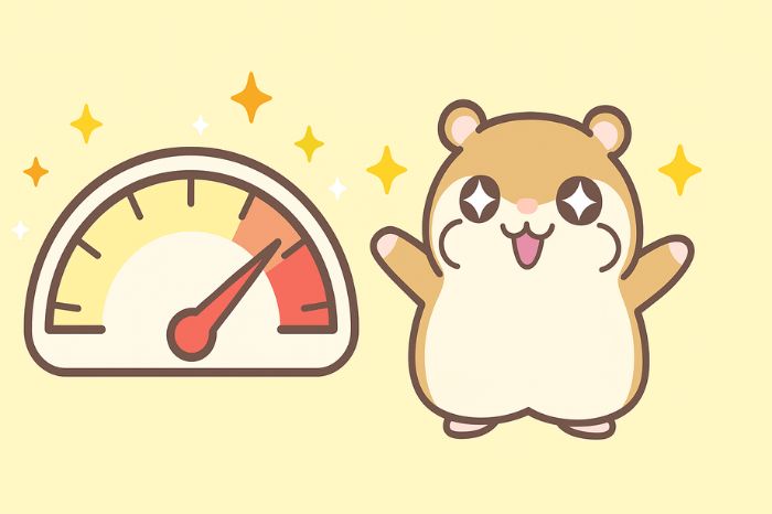 XMのKIWAMI極口座の取引スペックと特徴を表すイメージ