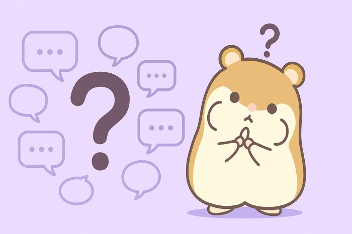 XMのKIWAMI極口座とスワップフリーに関するよくある質問のイメージ