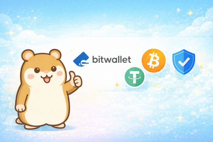 bitwallet収納代行規制対策のまとめを示すハムスター