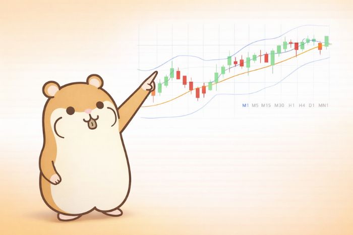 XMのMT5でチャートをカスタマイズする方法