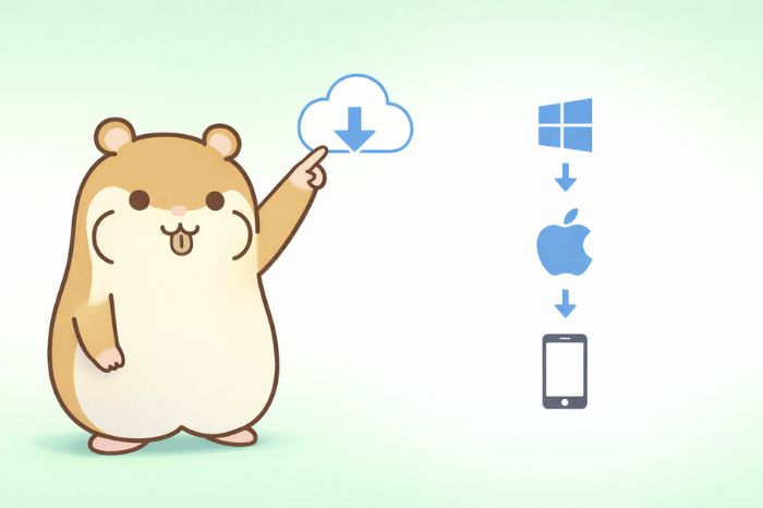 XMのMT5をPC・スマホにダウンロードする方法