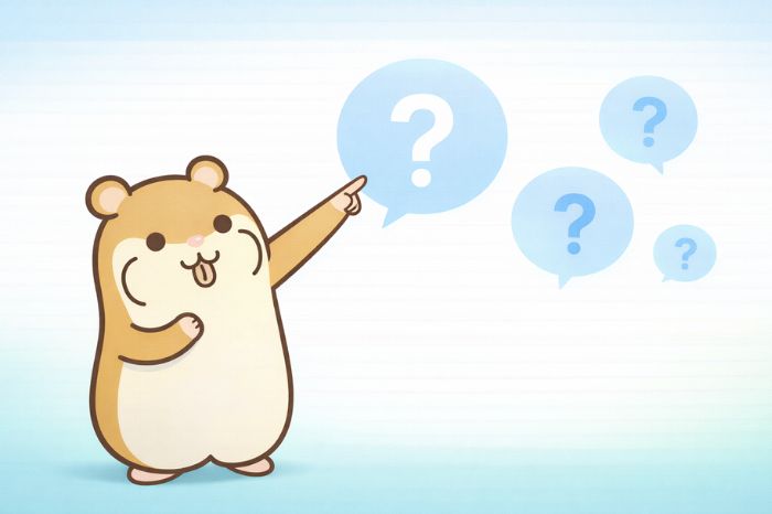 XMのMT5に関するよくある質問と回答