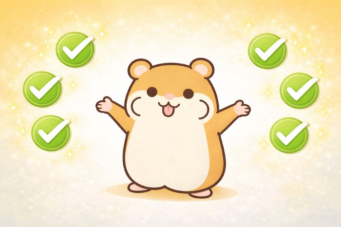 XMの口座開設ボーナスの重要ポイントを振り返るまとめのイメージ